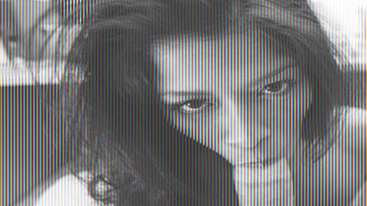 Joey Ray Love You Long Time!